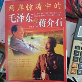 两岸惊涛中的毛泽东与蒋介石