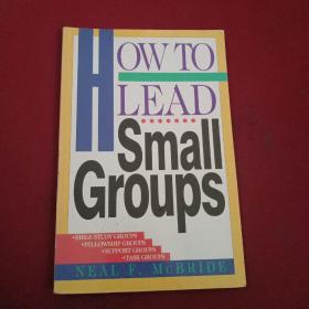 how to lead small gyoups