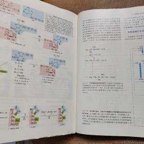 Lehninger生物化学原理（第3版）