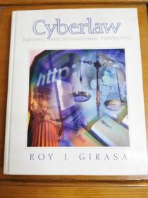 英文原版：Cyberlaw NATIONAL AND INTERNATIONAL PERSPECTIVES