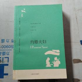 约婚夫妇：译文名著文库