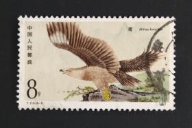 T114（4-1）《猛禽》信销邮票