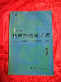 历史在这里沉思——1966——1976年记实(1.2.3)共3卷