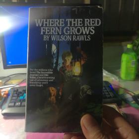 where the red fern grows《红色羊齿草的故乡》
