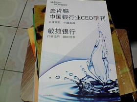 麦肯锡中国银行行业CEO季刊  敏捷银行（2019年春季刊）