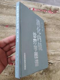 消化内镜诊疗学图谱   下书边书口有点墨水  内无碍