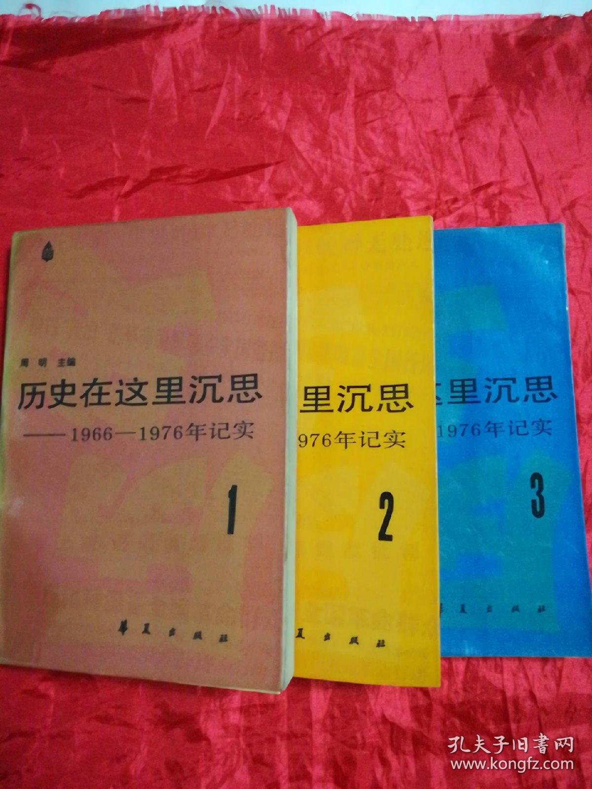 历史在这里沉思——1966——1976年记实(1.2.3)共3卷