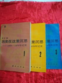 历史在这里沉思——1966——1976年记实(1.2.3)共3卷