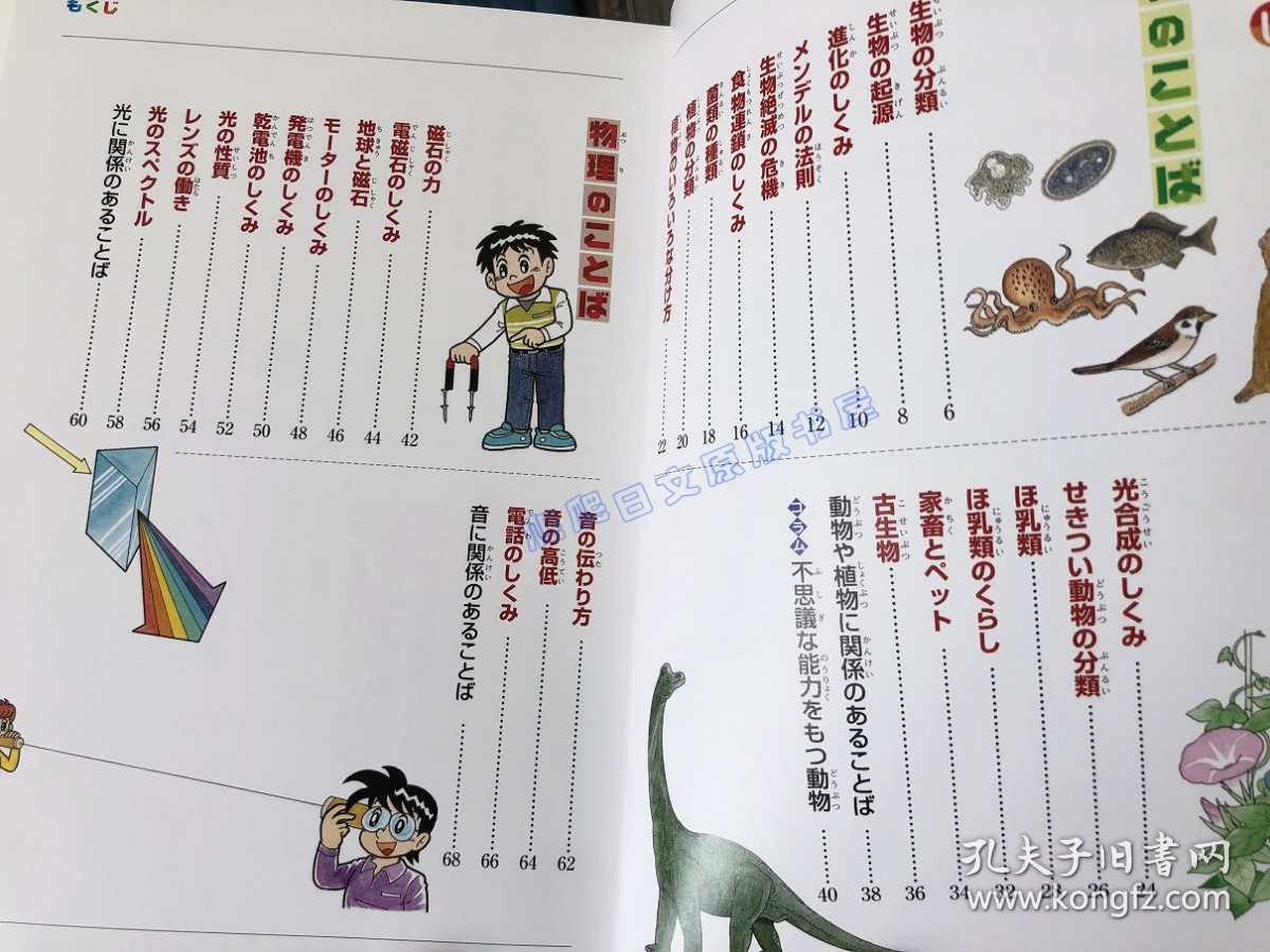 现货 日文原版 ことば絵事典１０－图解 理科 算数 生物 语言集