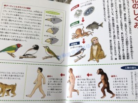 现货 日文原版 ことば絵事典１０－图解 理科 算数 生物 语言集