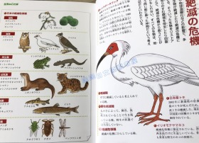 现货 日文原版 ことば絵事典１０－图解 理科 算数 生物 语言集