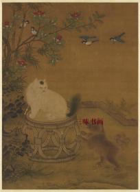 明 商喜 工笔花鸟猫狗写生图 35x48cm 绢本 1:1高清国画复制品