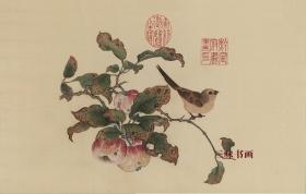 宋 黄筌 苹婆山鸟图 花鸟 34x55cm 绢本 1:1高清国画复制品