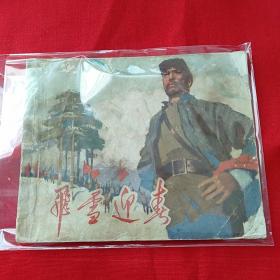 飞雪迎春