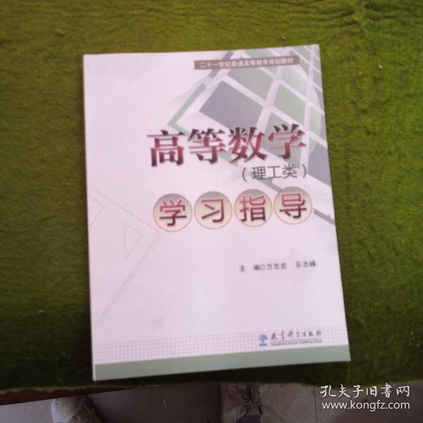 高等数学(理工类)学习指导