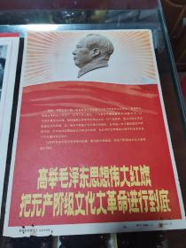 新华社照片 高举毛泽东思想伟大红旗 把无产阶级*****进行到底