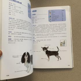 犬种圣经（铜板彩图）