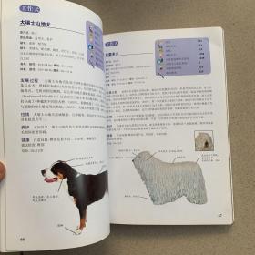 犬种圣经（铜板彩图）