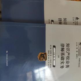 知识产权业务律师基础实务（上下册）（中国律师实训经典·基础实务系列）