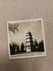 唐玄奘墓塔 西安三藏法师塔 兴教寺 西安老照片