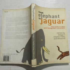 From elephant to jaguar