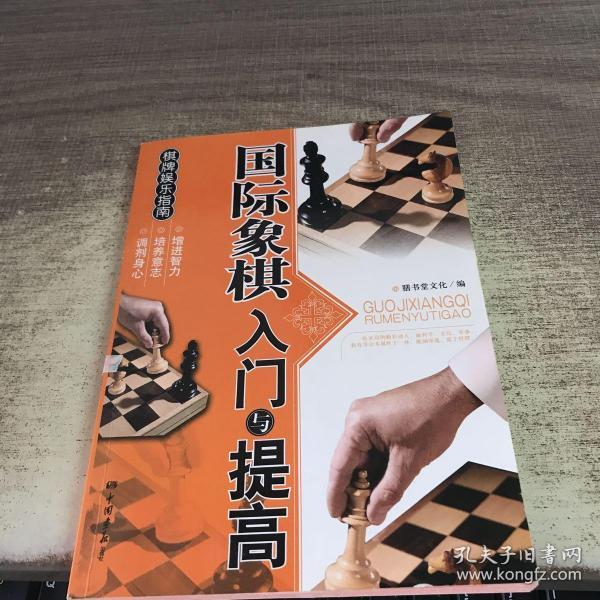 棋牌娱乐指南：国际象棋入门与提高