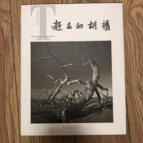 逝去的胡杨   张美寅黑白摄影作品。