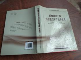 新编领导干部经济责任审计实务全集一