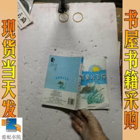 骑着鱼儿飞行（4）（供4年级第2学期用）