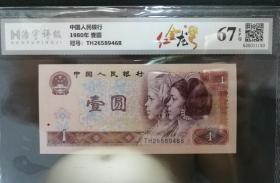 801红金龙