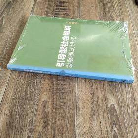 引导型社会组织发展模式研究