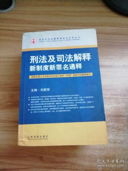 刑法及司法解释新制度新罪名通释