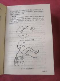 临床骨科手册