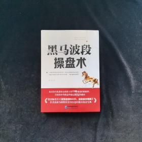 黑马波段操盘术