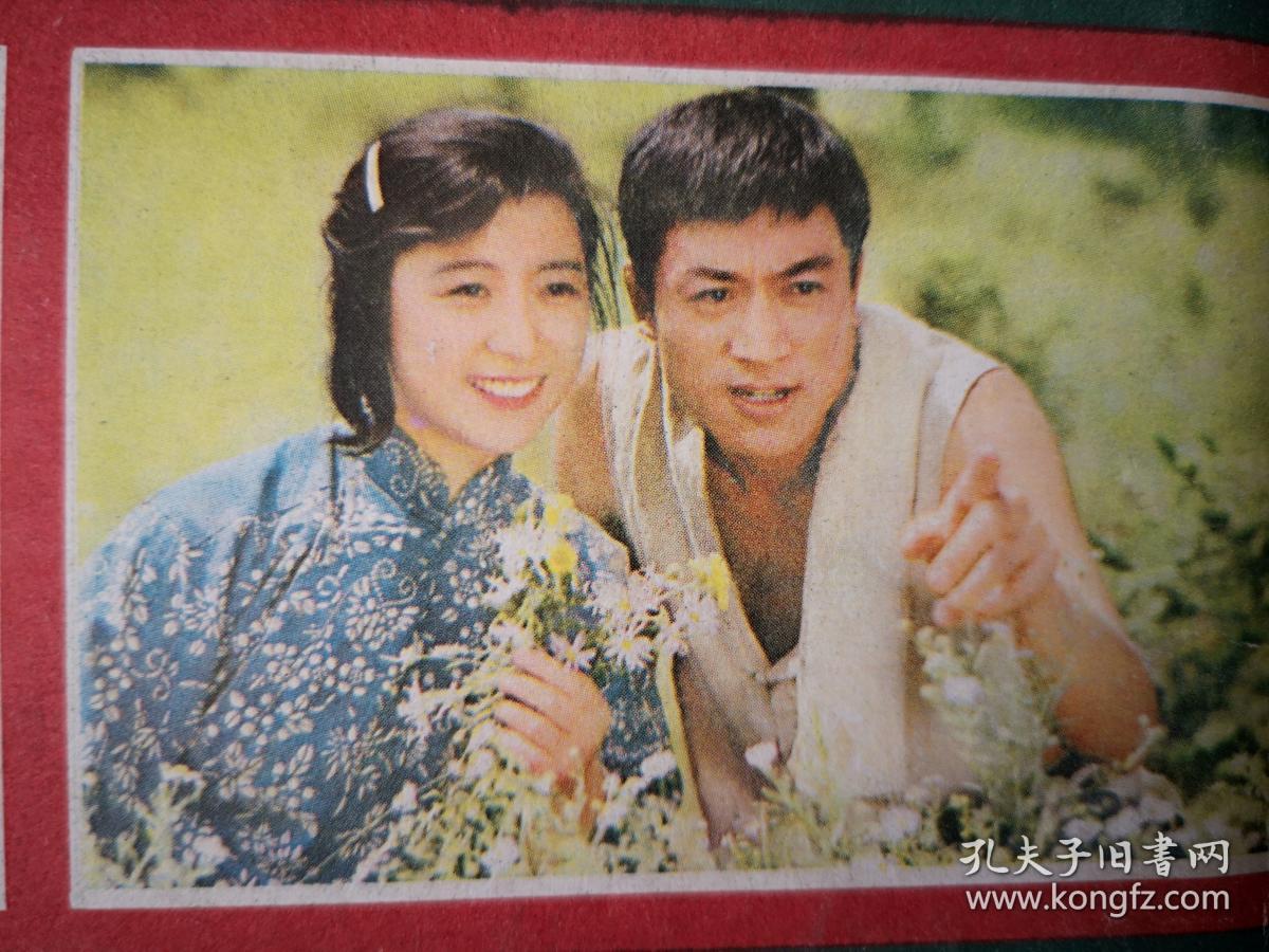 彩版明星美女插页（单张），潘虹达式常《人到中年》剧照，王馥荔