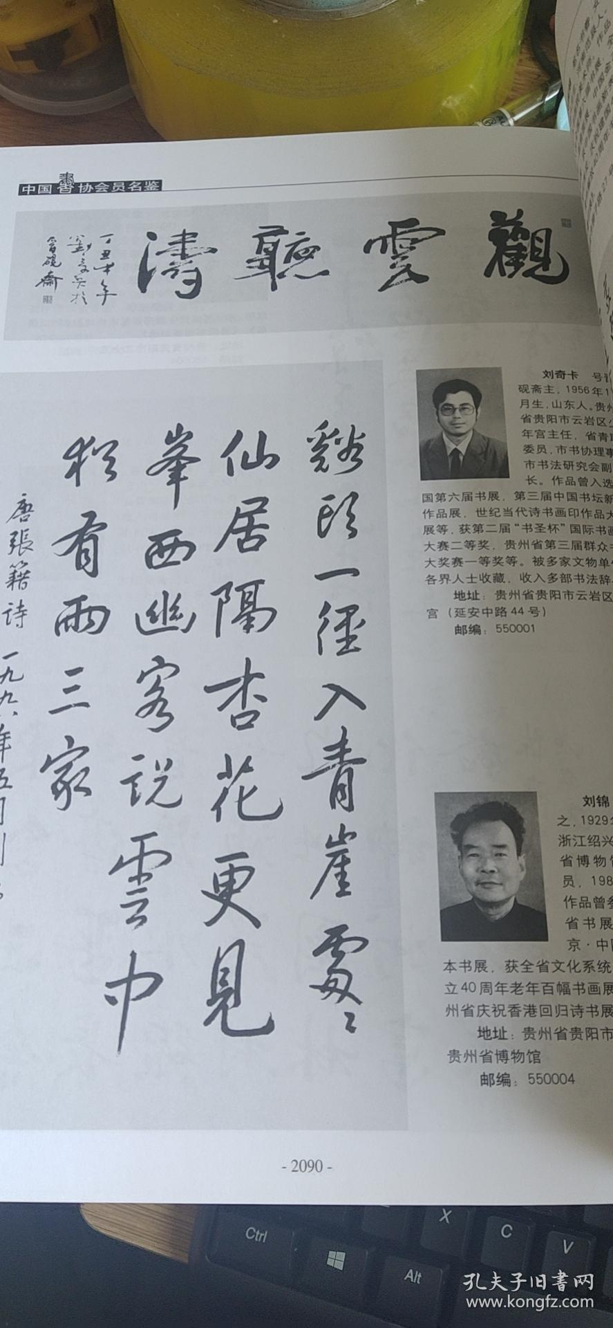 中国书法家协会会员名鉴（16开精装 全二册）