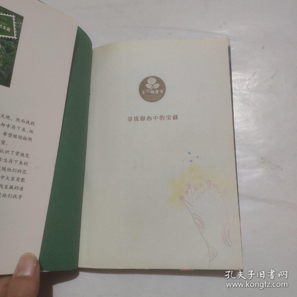 恐龙的宝藏