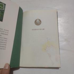 恐龙的宝藏
