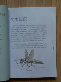 青少年科学素养文库：昆虫记