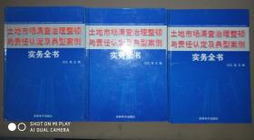 土地市场清查治理整顿与责任认定及典型案例实务全书 上中下
