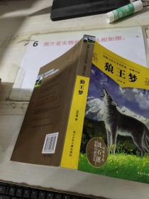 狼王梦