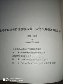 土地市场清查治理整顿与责任认定及典型案例实务全书 上中下