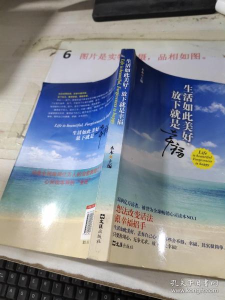 生活如此美好，放下就是幸福（想法改变活法，跟幸福招手。温润亿万读者，被誉为全球畅销心灵读本NO.1）