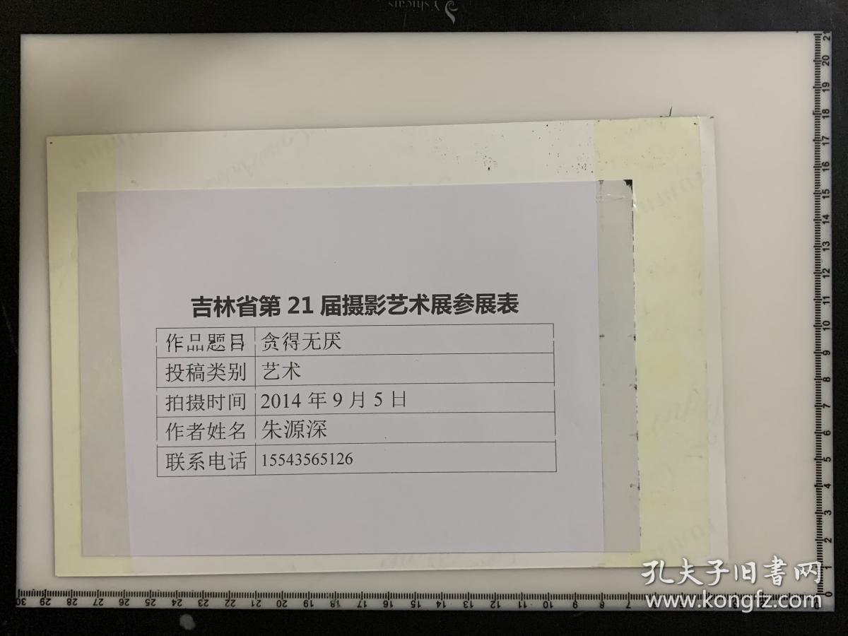 91 照片 摄影家艺术纪实类参展照片 大尺寸  蜜蜂采蜜 朱源深