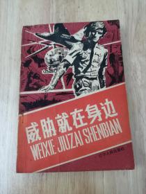 威胁就在身边  1986年一版一印  正版私藏  22张实物照片