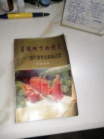 菩提树下的诱惑——当代青年出家热记实  （32开本，93年一版一印刷，花城出版社，）    内页干净。