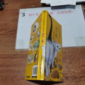 猫城小事