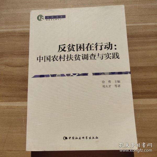 反贫困在行动：中国农村扶贫调查与实践（智库书系）