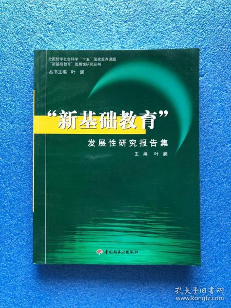 新基础教育 发展性研究报告集