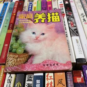 家庭养猫
